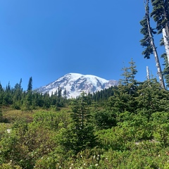 Hanna Man, 44 года, Seattle