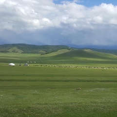 Chimgee Chemka, 44 года, Ulaanbaatar