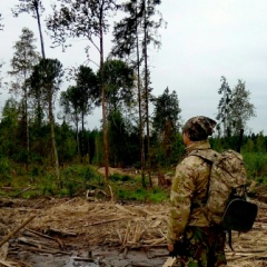 Диман Лазуткин, 38 лет, Раменское